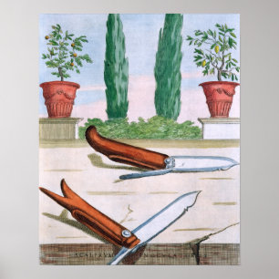 Gardening Knife, from 'Hesperides' by Giovanni Bat Poster
