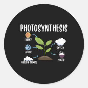 Gardening Plants Photosynthesis Houseplant Classic Round Sticker
