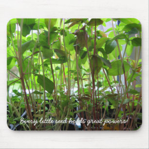 Gardening Seeds Seedlings Photo Custom Text Mouse Pad