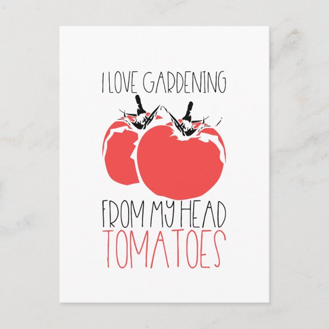 Gardening Tomatoes Gardener Gift Postcard (Front)