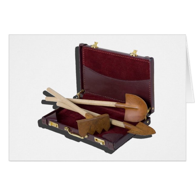 GardeningToolsBriefcase012915.png (Front Horizontal)