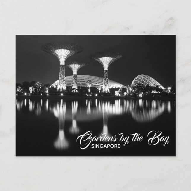 Gardens by the Bay Singapore Black and White Postc Postcard (Front)