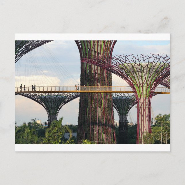 Gardens by the Bay Singapore eco park Postcard (Front)