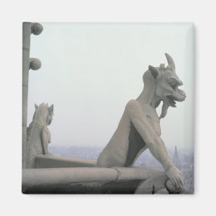 Gargoyle from the balustrade of the Grande Magnet