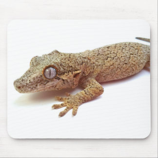 Gargoyle Gecko mouse pad