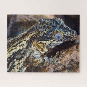 Gargoyle Gecko Pet Lizard Jigsaw Puzzle