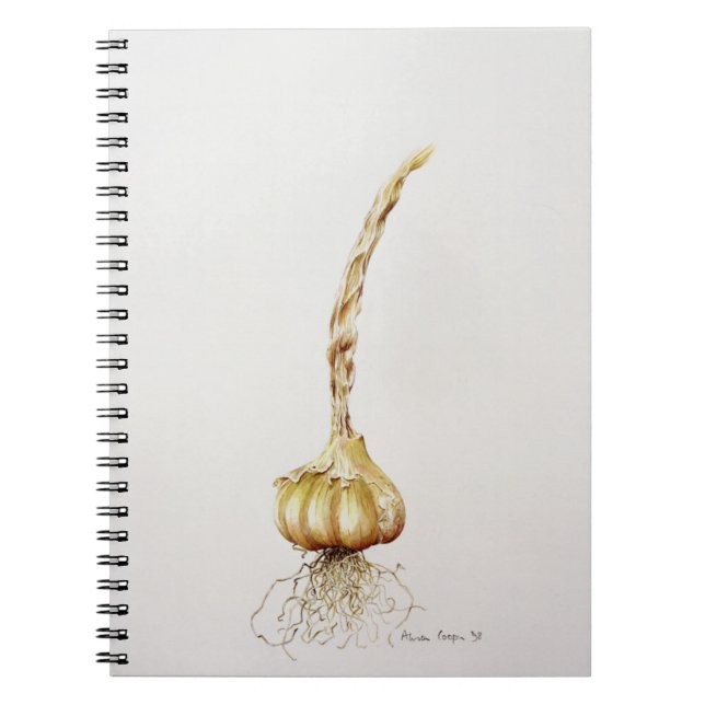 garlic 1998 notebook (Front)