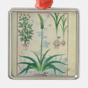 Garlic and other plants metal ornament