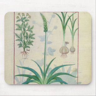 Garlic and other plants mouse pad