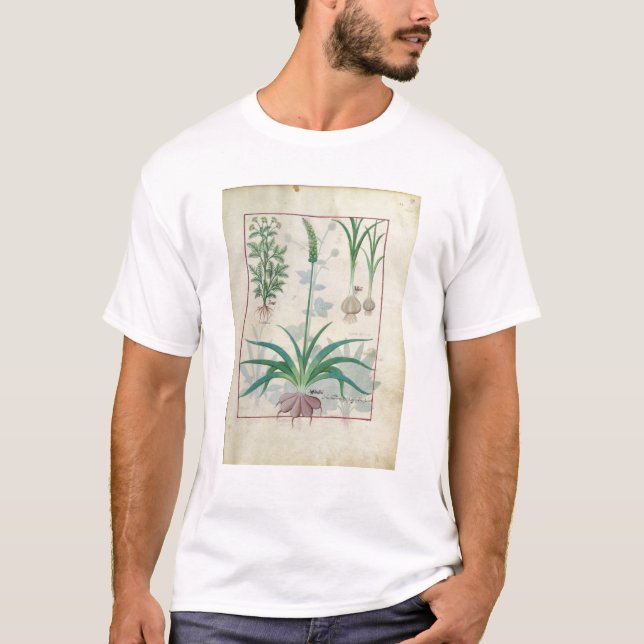 Garlic and other plants T-Shirt (Front)