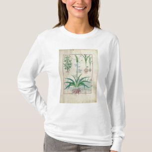 Garlic and other plants T-Shirt
