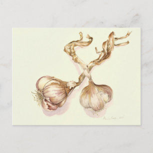 Garlic bulbs 2005 postcard