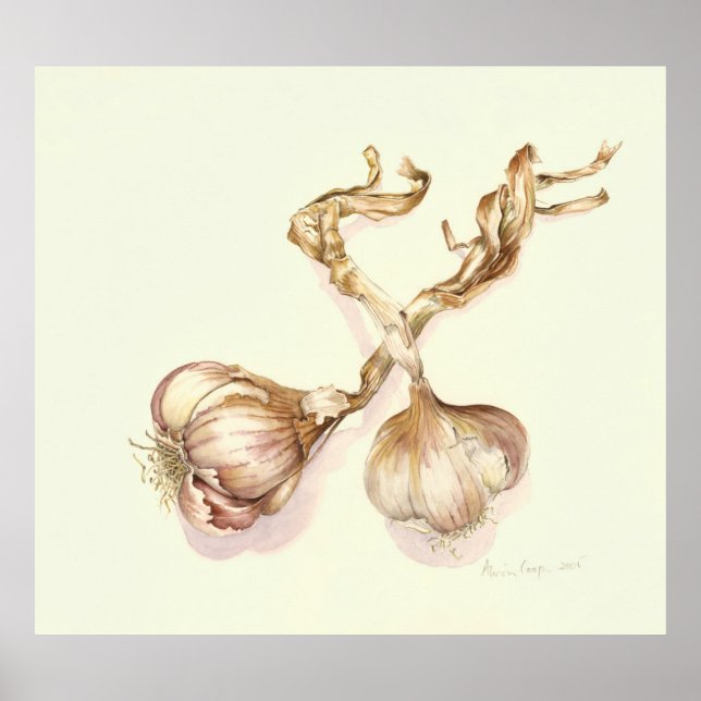 Garlic bulbs 2005 poster (Front)