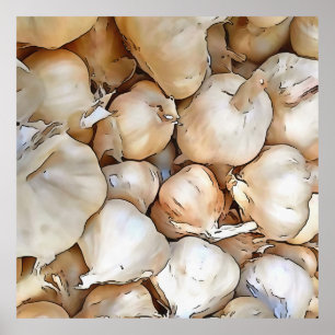 Garlic Bulbs Poster