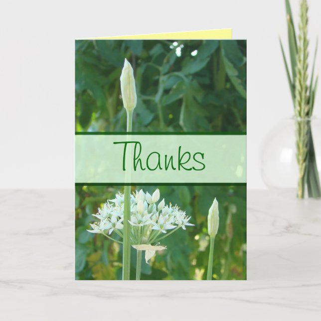 Garlic Chives Banner card-customise any occasion Thank You Card (Front)