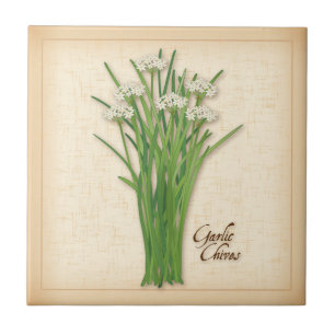 Garlic Chives Herb Ceramic Tile