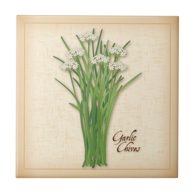 Garlic Chives Herb Ceramic Tile (Front)