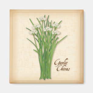 Garlic Chives Herb Magnet