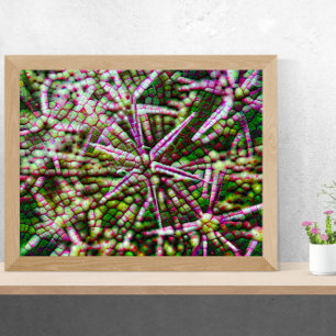 Garlic Flower Cellular Abstract Wall Art