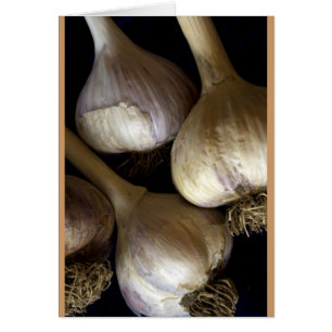 Garlic Heads