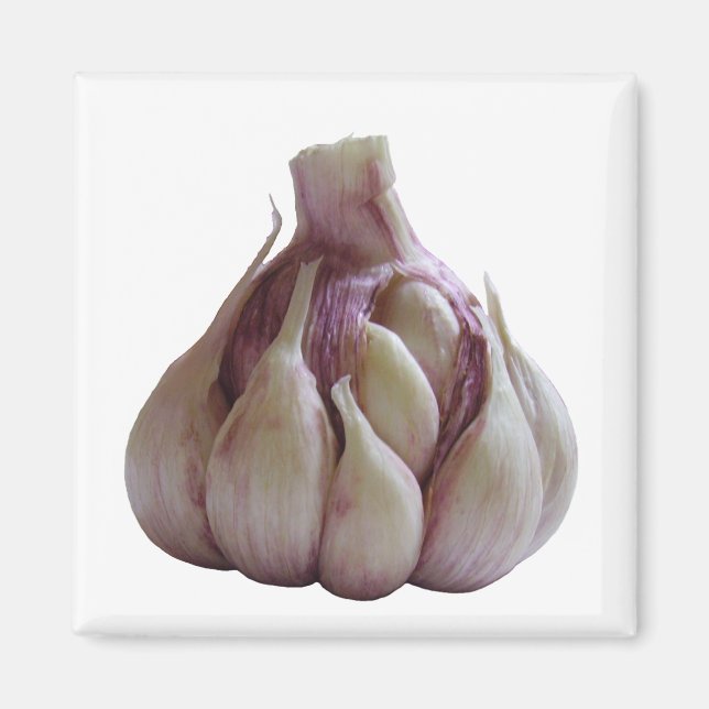 Garlic kitchen magnet (Front)
