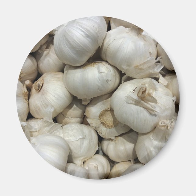 Garlic Magnet (Front)