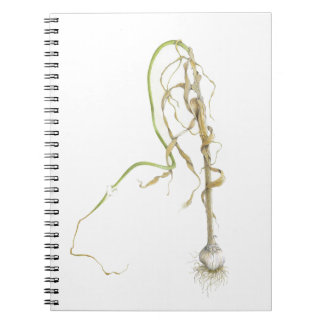 Garlic Notebook
