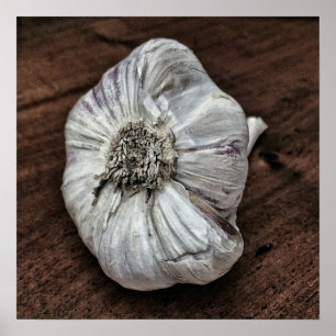 Garlic photo poster