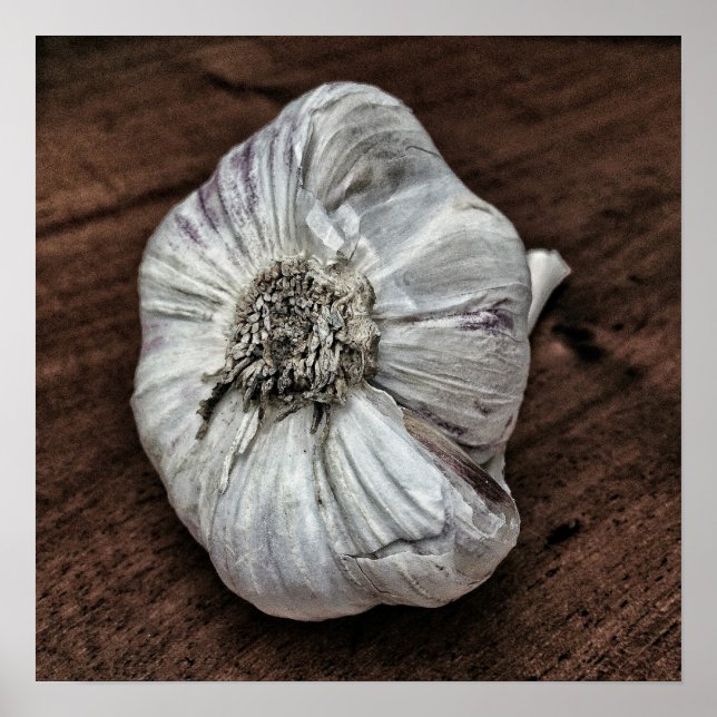 Garlic photo poster (Front)