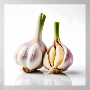 Garlic Poster