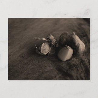 Garlic Still Life Fine Art Photograph Postcard