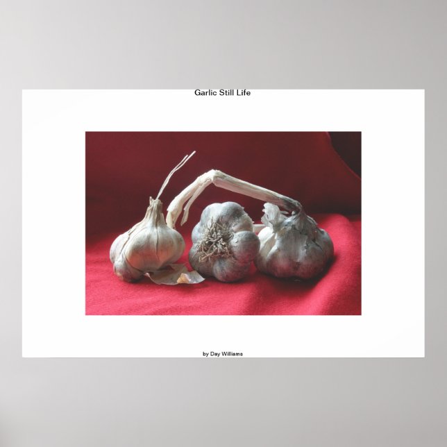 Garlic Still Life Poster (Front)
