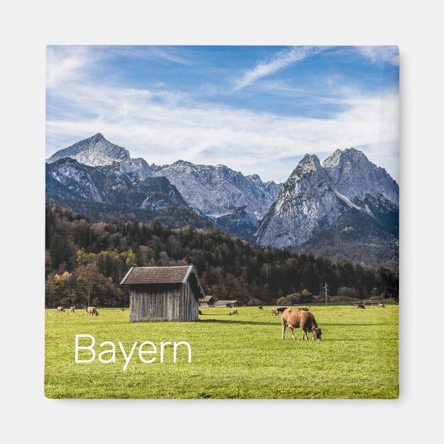 Garmisch Partenkirchen Alps Bavaria Germany Magnet (Front)