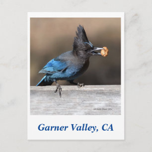 Garner Valley Postcard