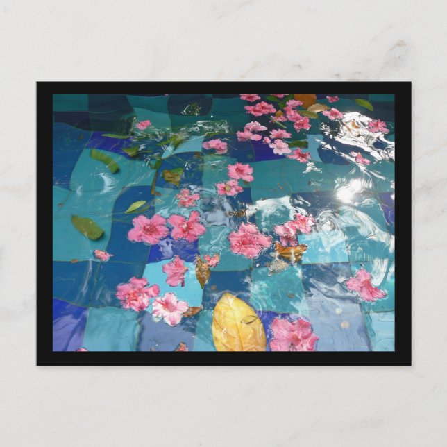 garnish over water postcard (Front)