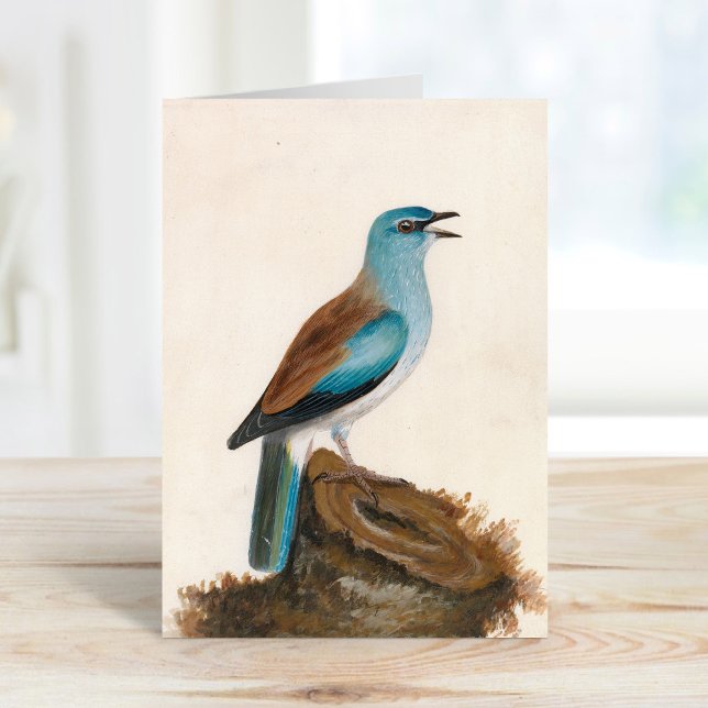 Garrulous Roller | William Lewin Card (Creator Uploaded)