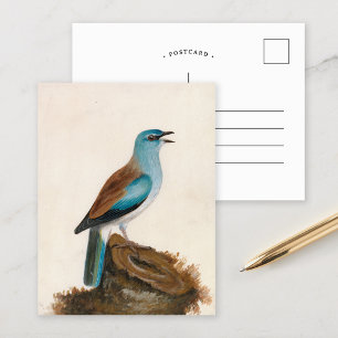 Garrulous Roller   William Lewin Postcard