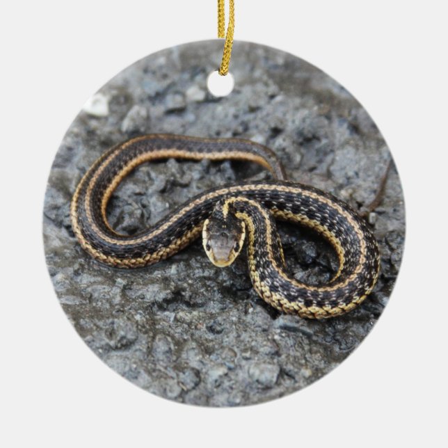 Garter Snake Ceramic Tree Decoration (Front)