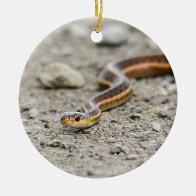 Garter Snake Ceramic Tree Decoration (Front)