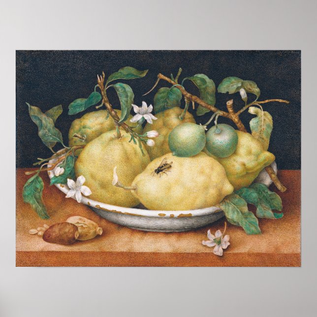Garzoni - Still Life With Bowl Of Citrons Poster (Front)