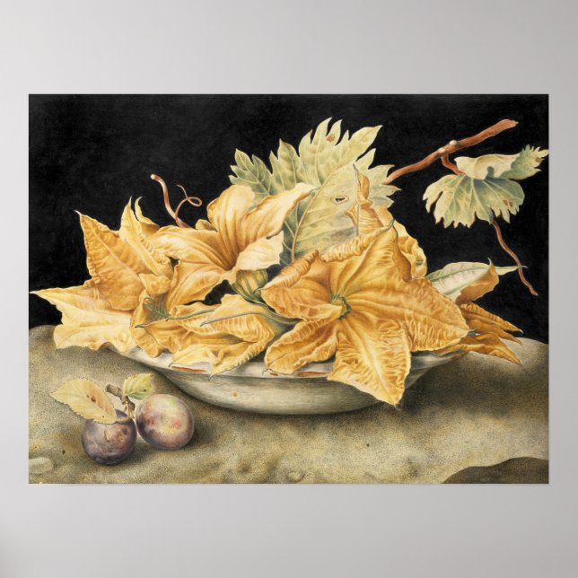 Garzoni - Still Life With Pumpkin Flowers And Vine Poster (Front)