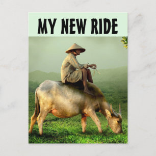 GAS IS SO EXPENSIVE FUNNY MAN RIDING COW POSTCARD