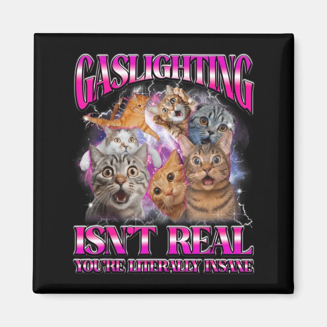 Gaslighting Isnt Real Funny Cat Meme Bootleg Graph Magnet (Front)