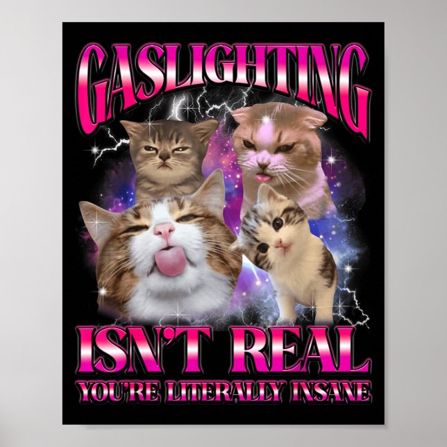 Gaslighting Isnt Real Funny Cat Meme Bootleg Graph Poster (Front)