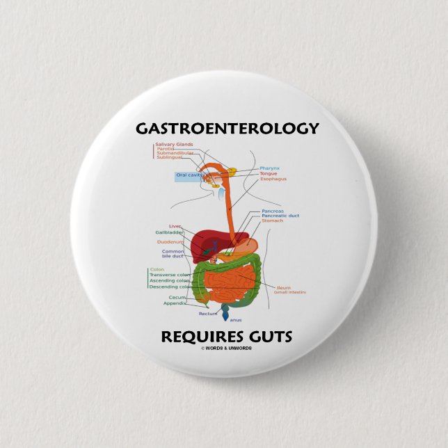 Gastroenterology Requires Guts (Digestive System) 6 Cm Round Badge (Front)