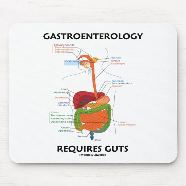 Gastroenterology Requires Guts (Digestive System) Mouse Pad (Front)
