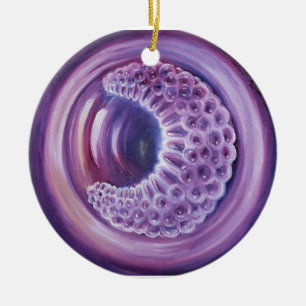 Gastrula Ceramic Ornament