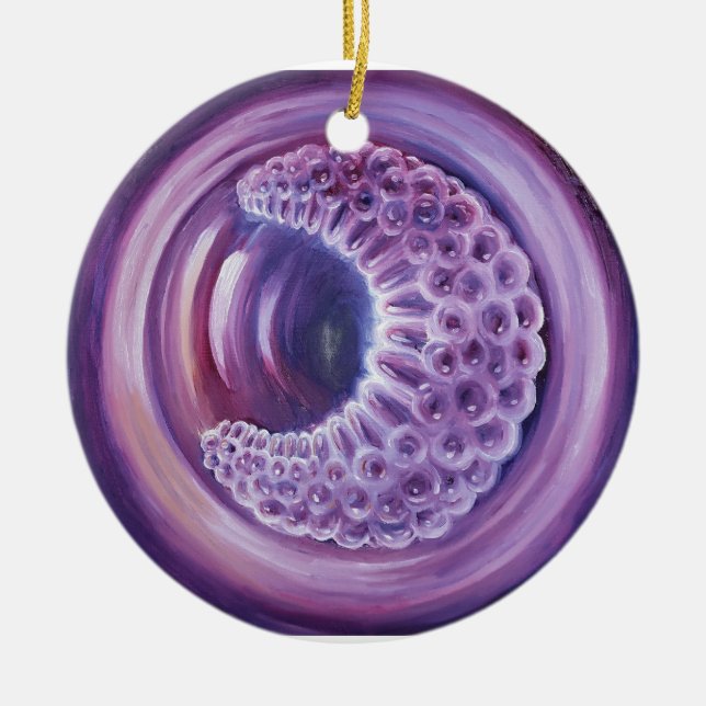 Gastrula Ceramic Ornament (Front)