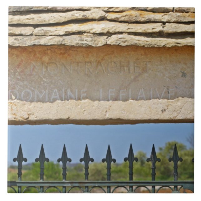 Gate and key stone carved with Montrachet, Tile (Front)