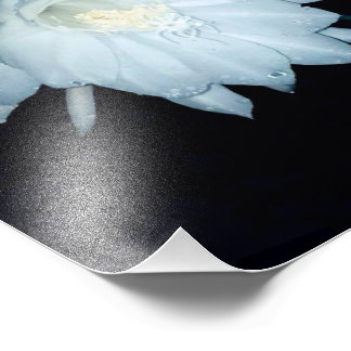 Gate of the cradle of moses photo print